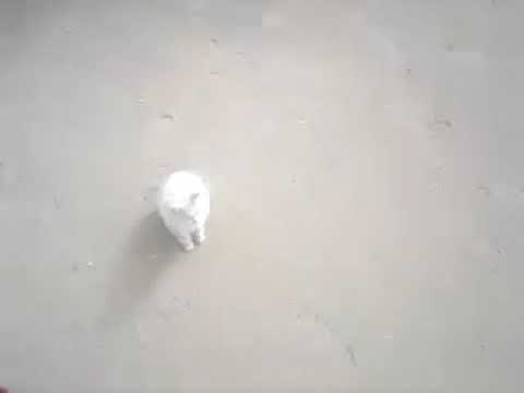 With RAJA VICKY AND RAJA RAIS  IN JUMERA BEACH