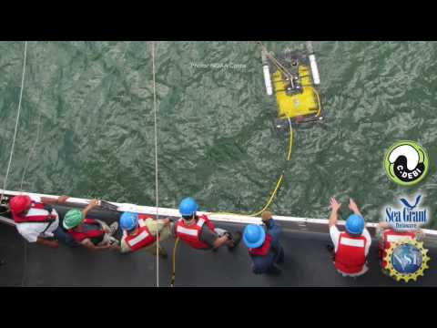 15 Second Science - Deep sea microbial chemistry