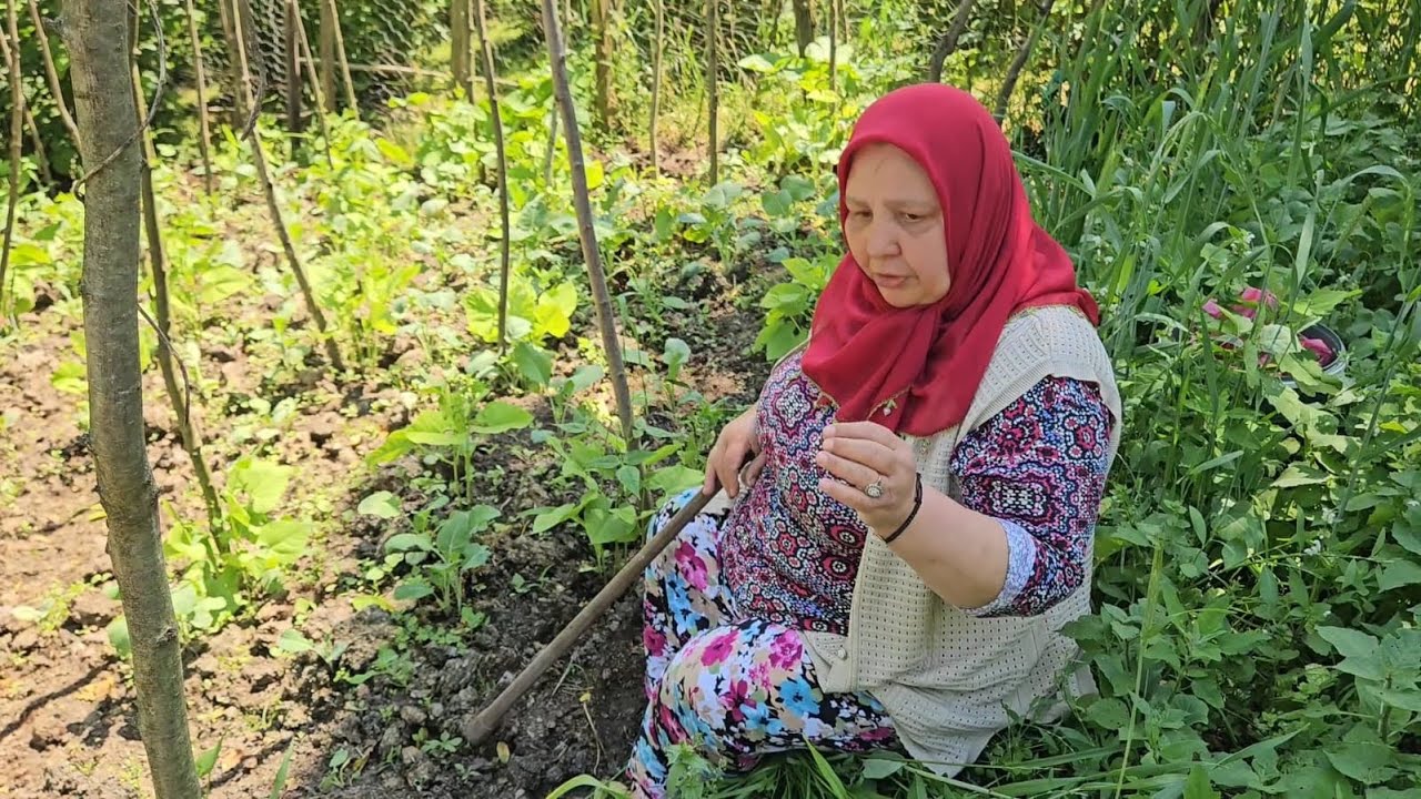 ‼️BUGÜN HÜNGÜR HÜNGÜR AĞLADIM BÜTÜN EMEĞİM BOŞA GİTTİ‼️