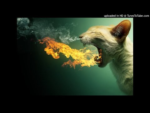 "Summer Nights" - Chill Hip Hop Instrumental