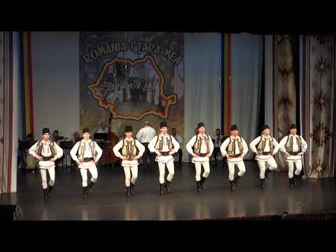 Ansamblul Artistic Profesionist "MUREŞUL" - Tîrgu Mureş - Joc bănățean #dance #romania #folclore