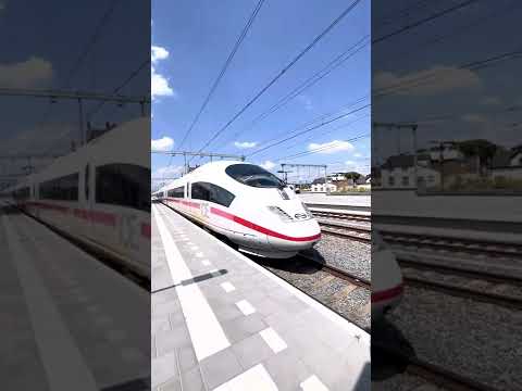 NS ICE stopt op geldermalsen station