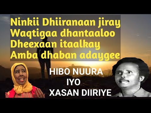 Hibo Nuura iyo Xasan Diiriye Heestii Dhalanteed 'Nimuu dhabarku jaban yahay Lyrics #qaaraami_lyrics