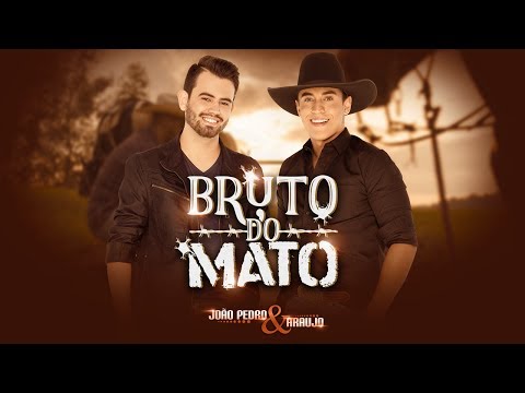 João Pedro & Araujo - Bruto do Mato (CLIPE OFICIAL) Lançamento 2020