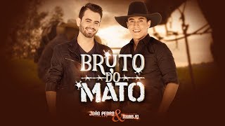 João Pedro & Araujo - Bruto do Mato (CLIPE OFICIAL) Lançamento 2020