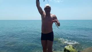 Рыбалка в лазаревском на черном море