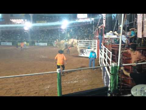 Allan Moraes vs Paraiso Cia california