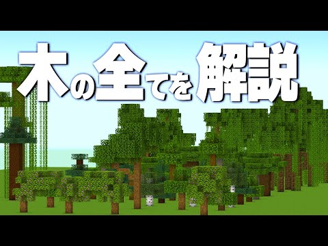 オークの木の分類について詳しく解説