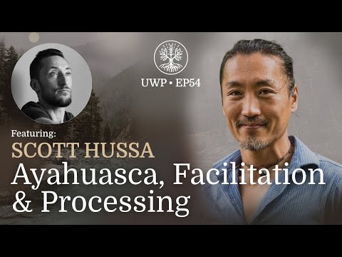 Universe Within Podcast Ep54 - Scott Hussa - Ayahuasca, Facilitation & Processing