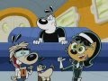 TUFF Puppy Slideshow Dachschaden