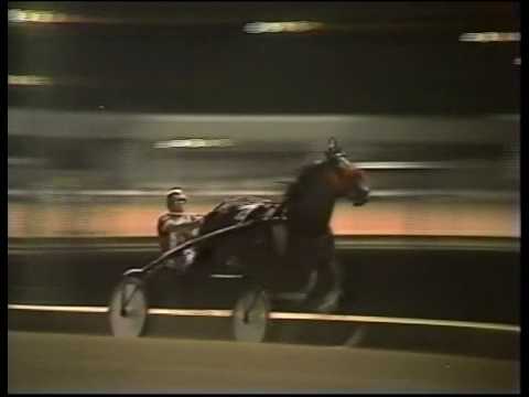 1982 U.S. Pacing Championship - Roosevelt Raceway