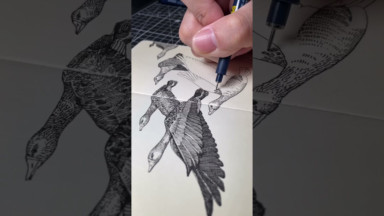 White fronted goose drawing #inspiredbynature #geese #drawing #sketch