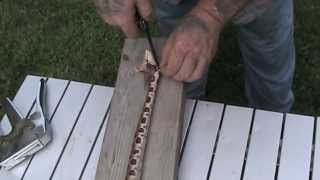 Skinning and Cooking Copperhead snake