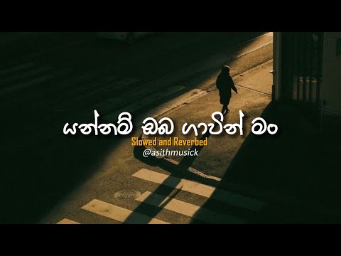 Yannam Oba Gawin (යන්නම් ඔබ ගාවින්) - ( Slowed + Reverb ) | Manoparakata Sinhala Sindu