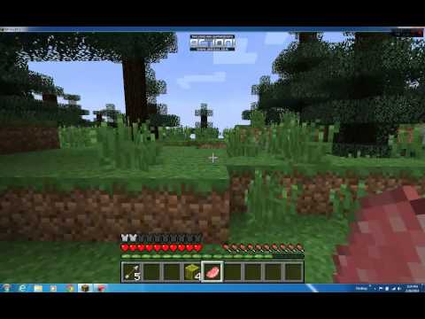 Minecraft Survival Games Ep - 1 w/Nathanskull8
