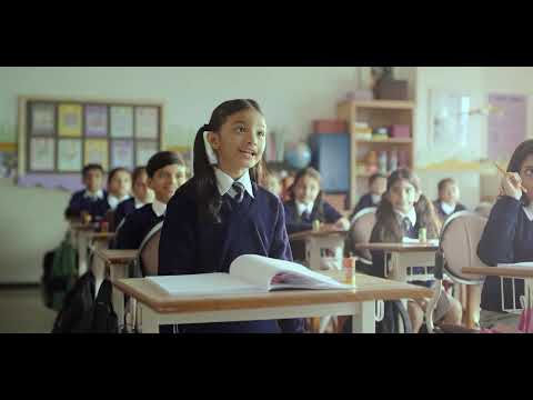 DOMS ERASNER.. A Twin Skill Tool that Sharpens and Erases