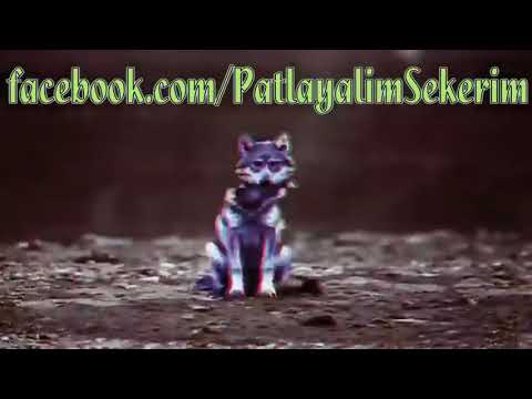 tal3a lexsta lfofo🔥🔥 music extasy طلعة ليكسطا💊