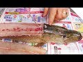 How To Fillet A Pike And Get 5 Boneless Fillets