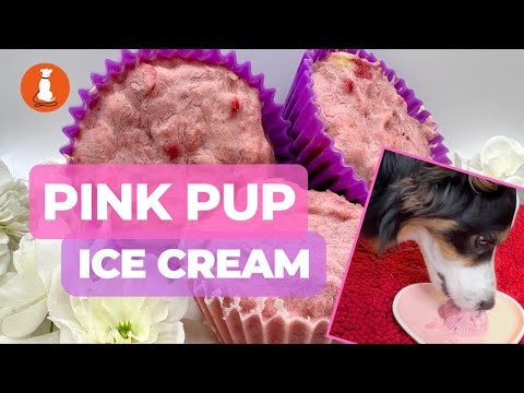 Pink Pup Ice Cream - a healthy ice cream recipe just for dogs.