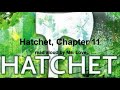 Hatchet, by Gary Paulsen, Chapter 11