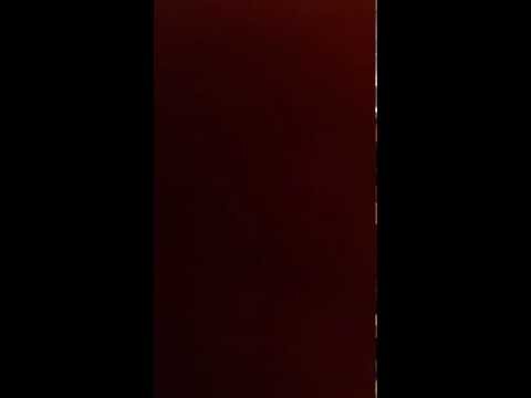 auditie voor de voice kids celine vz