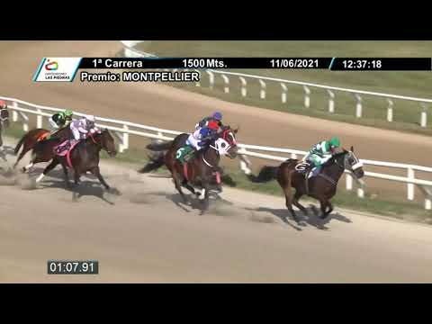 210611 c01 - PRINCELY - HIPODROMO LAS PIEDRAS