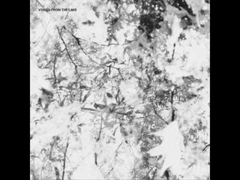 Voices From The Lake Feat. Donato Dozzy & Neel ‎: Voices From The Lake [@ 432 Hz]