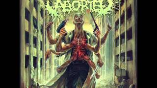 Aborted - Coffin Upon Coffin