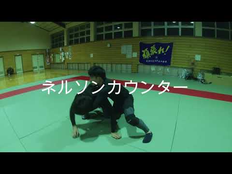 【バック】MMA総合格闘技・レスリング～ネルソンカウンター～