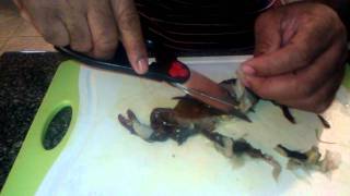 preview picture of video 'How to clean sofe shell blue crabs'