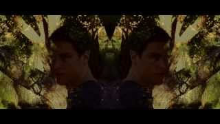 THE DISSONANCE (2014) official trailer