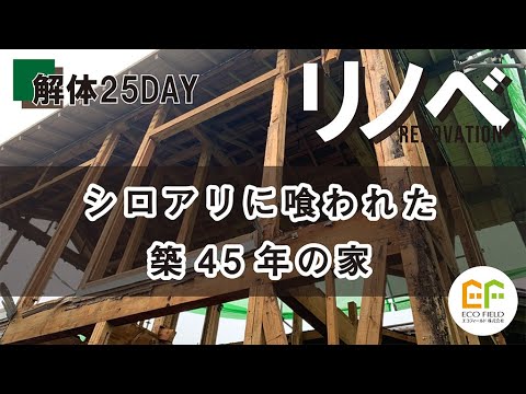 【リノベモデルハウス】シロアリに喰われた家