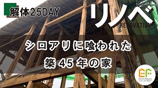 【リノベモデルハウス】シロアリに喰われた家