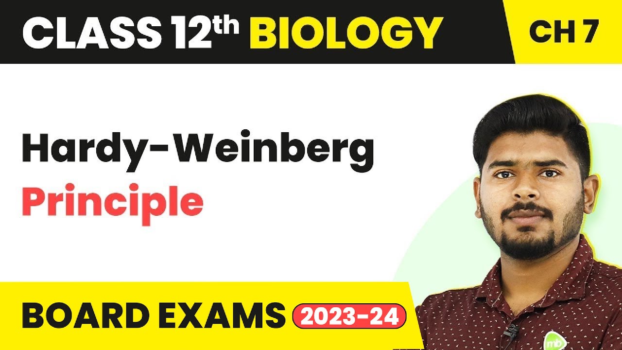 Hardy-Weinberg Principle - Evolution | Class 12 Biology (2022-23)