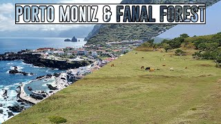 Porto Moniz & Fanal Forest | Madeira Portugal