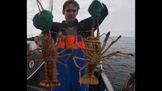 Day 3 pt 1 - Lobster fishing in Tasmania
