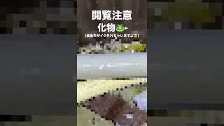 かえる