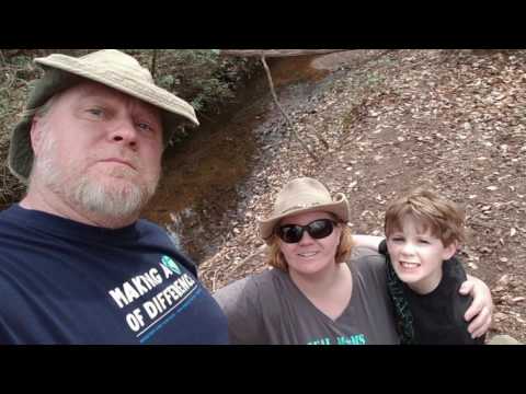 Camping In The Woods - Misty Cheney