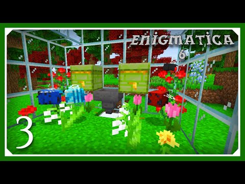 Enigmatica 6 Modpack | Starting Resourceful Bees! | E03 | 1.16.4 Modpack