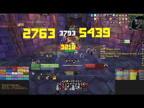 Rank 14 World - Gluth T7 Naxx - Hunter