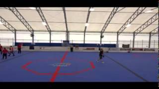 BallhockeyInt Live Stream