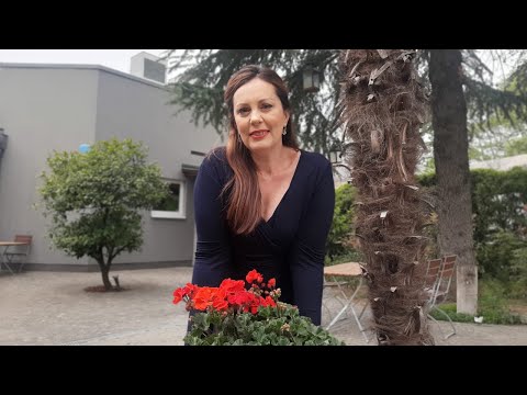 Vitrina e librit/ Frankeshtajni nga Mary Shelley; kush nuk e ka parë filmin me këtë personazh