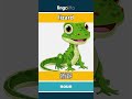 lizard - 蜥蜴 video thumbnail