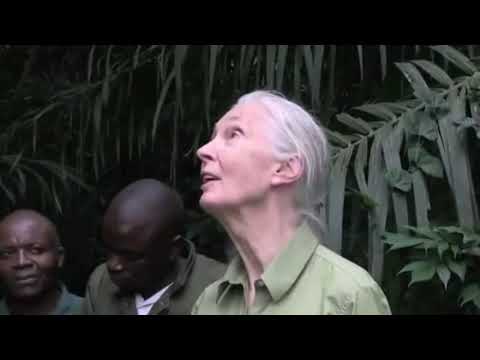 Desweef-Evguenia Ratsouk-Sit Next To Me