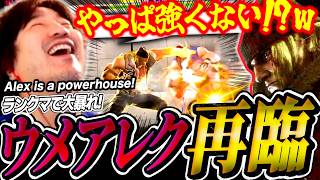 Daigo gives Alex another shot and runs amok in Ranked! “All I’m doing is throwing!”【SF6】