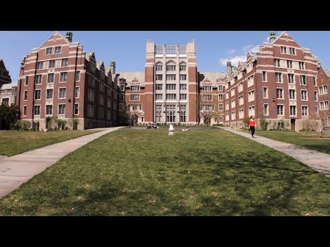 Wustl Workday