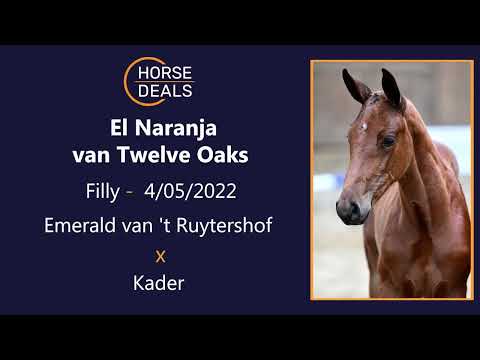 El Naranja van Twelve Oaks 