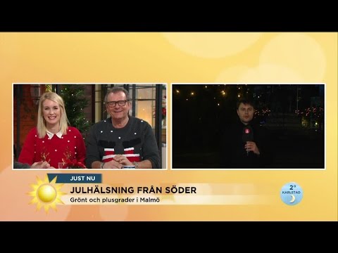 Programledarna kan inte sluta skratta när reportern får ljudproblem - Nyhetsmorgon (TV4)