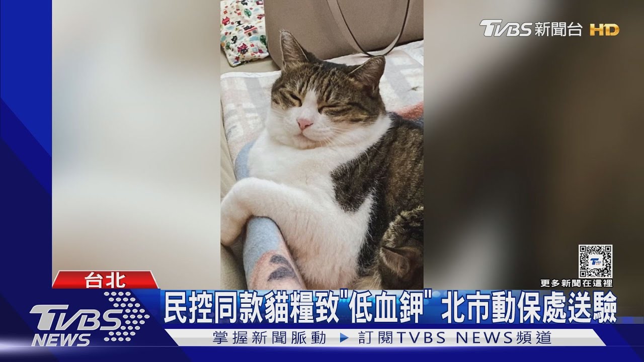 民控同款貓糧致「低血鉀」　北市動保處送驗