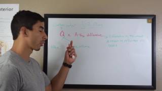 Components of VO2 max ACSM CPT Exam Prep